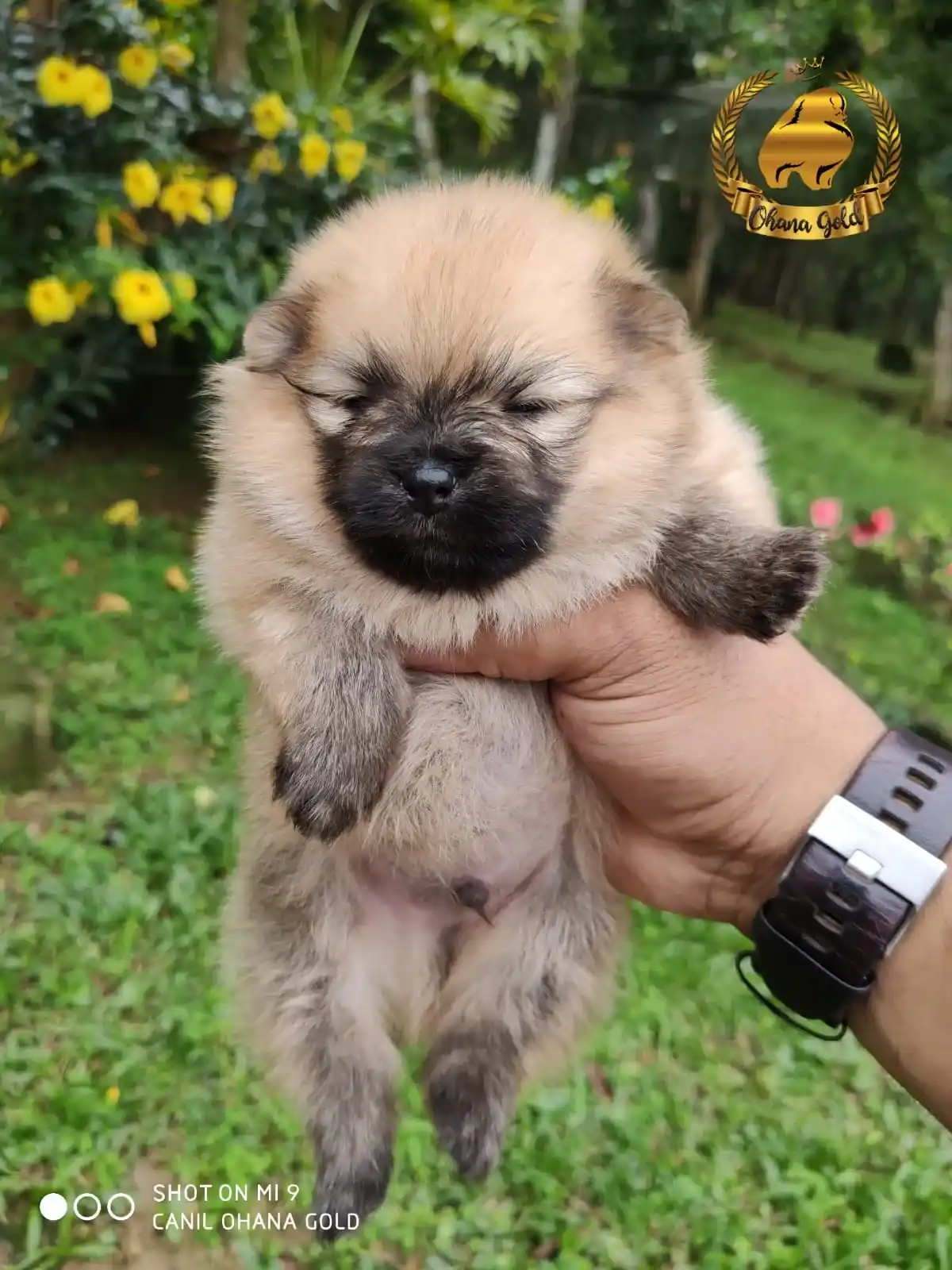 bio9prw_11zon_11zon (1)